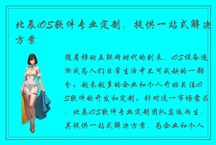 北辰iOS软件专业定制，提供一站式解决方案