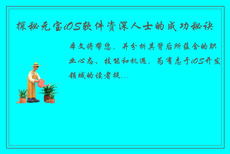 探秘元宝iOS软件资深人士的成功秘诀