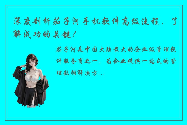 深度剖析茄子河手机软件高级流程，了解成功的关键！