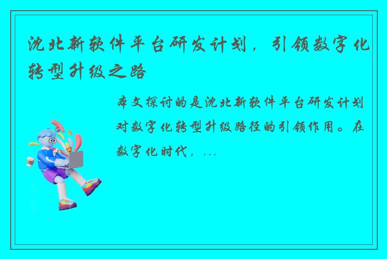 沈北新软件平台研发计划，引领数字化转型升级之路